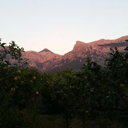 Es Campet, Charmante Finca, Soller, Vue Splendide, Piscine, Calme Sóller